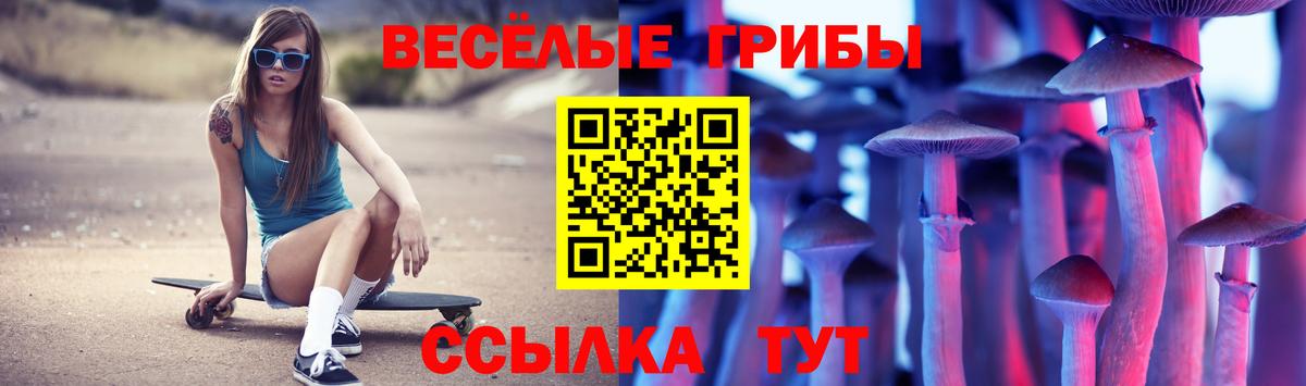 Галлюциногенные грибы MAGIC MUSHROOMS  Вход с VPN  Карабулак 